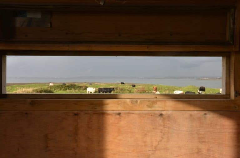 Inghilterra, Walney – finestra, ottobre 2013