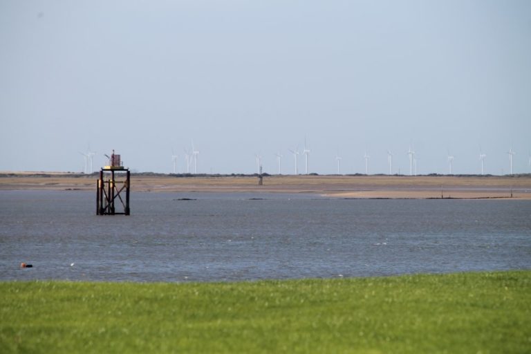 Inghilterra, Walney – pianura, ottobre 2013