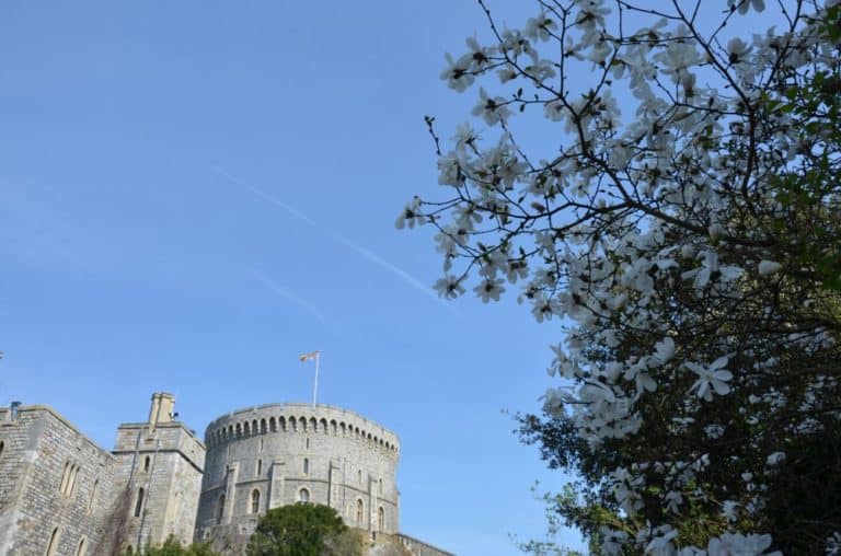 Inghilterra, Windsor  – fiori e cielo, mar.2014 (Windsor)