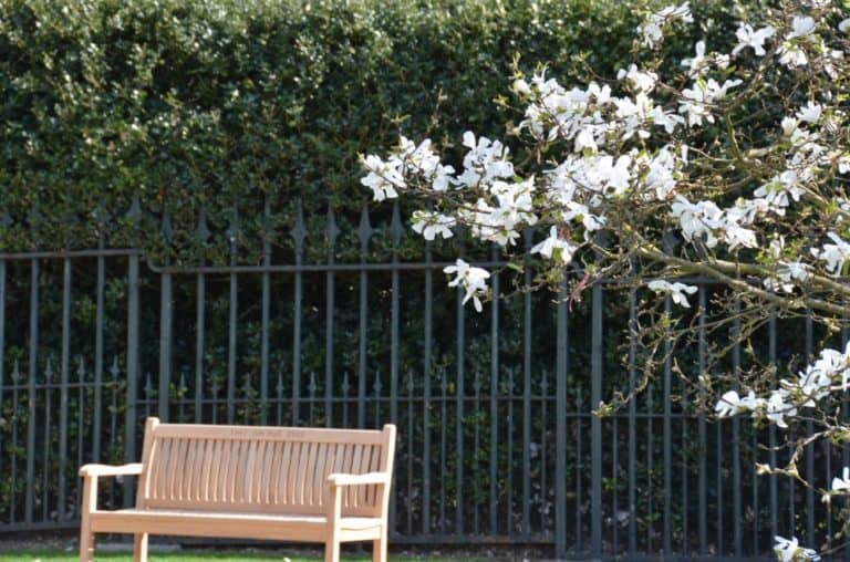Inghilterra, Windsor  – panchina e fiori, mar.2014 (Windsor)