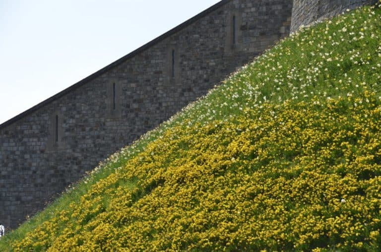 Inghilterra, Windsor  – muro, mar.2014 (Windsor)