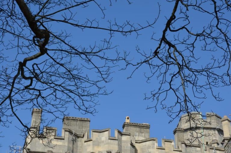 Inghilterra, Windsor  – rami, mar.2014 (Windsor)