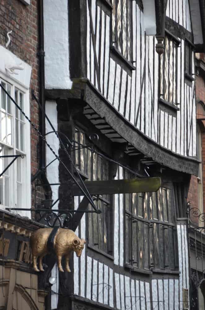 England, York – hanging sheep, May 2013 (York)