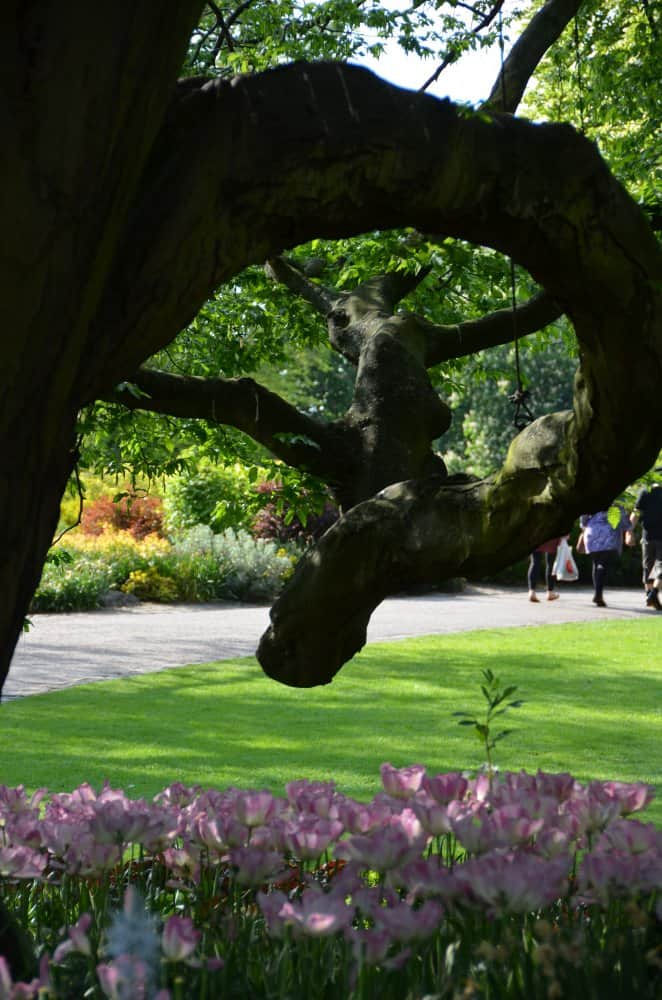England, York – the branch, May 2013 (York)