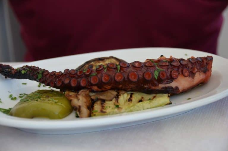 Greece, Santorini, Fira – octopus, Aug. 2013 (Santorini)