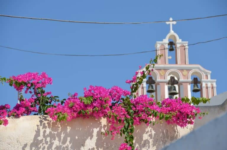 Greece, Santorini, Fira – flowers and church, Aug. 2013 (Santorini)