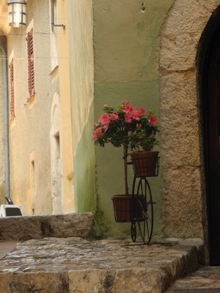 France, Eze – green wall, 2011