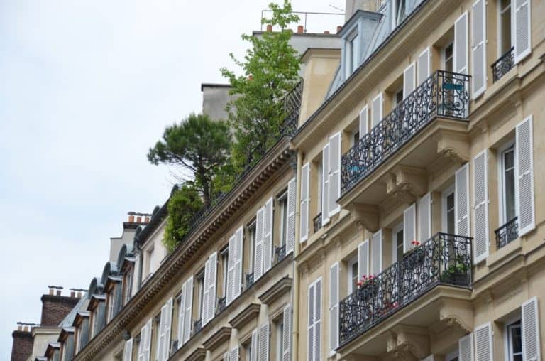 France, Paris – trees on house, June 2013 (París)