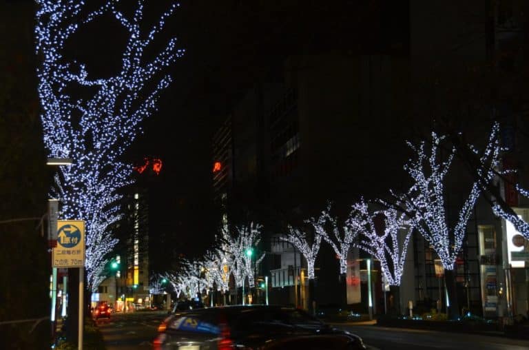 日本、福岡－クリスマス６ 2014年1月 (九州)