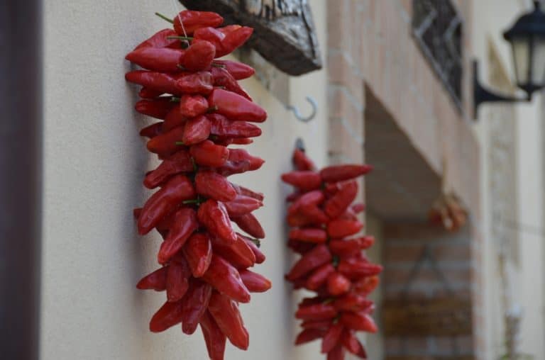 Gerace – peperoncino, Luglio 2015 (Calabria)