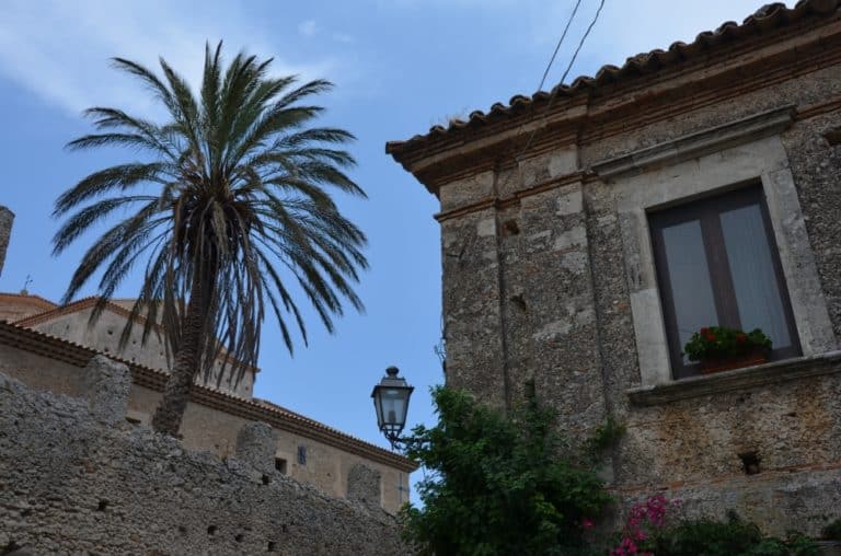 Gerace – palm tree, July 2015 (Calabria)