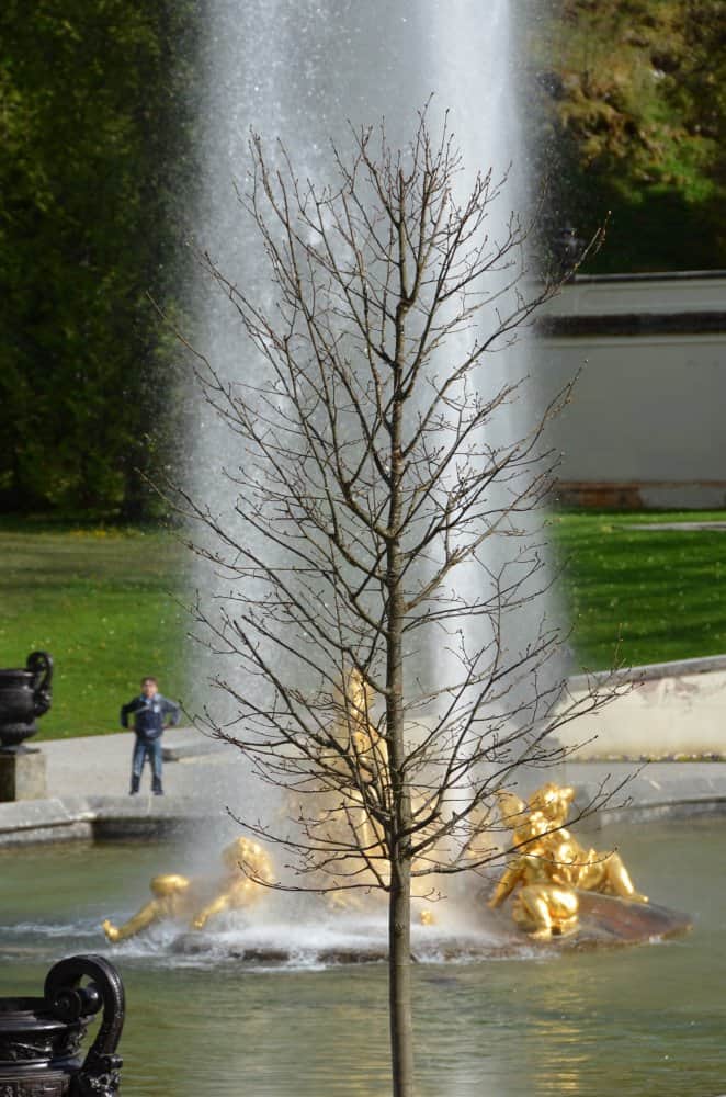 Germania, Linderhof – albero e fontana, maggio 2013