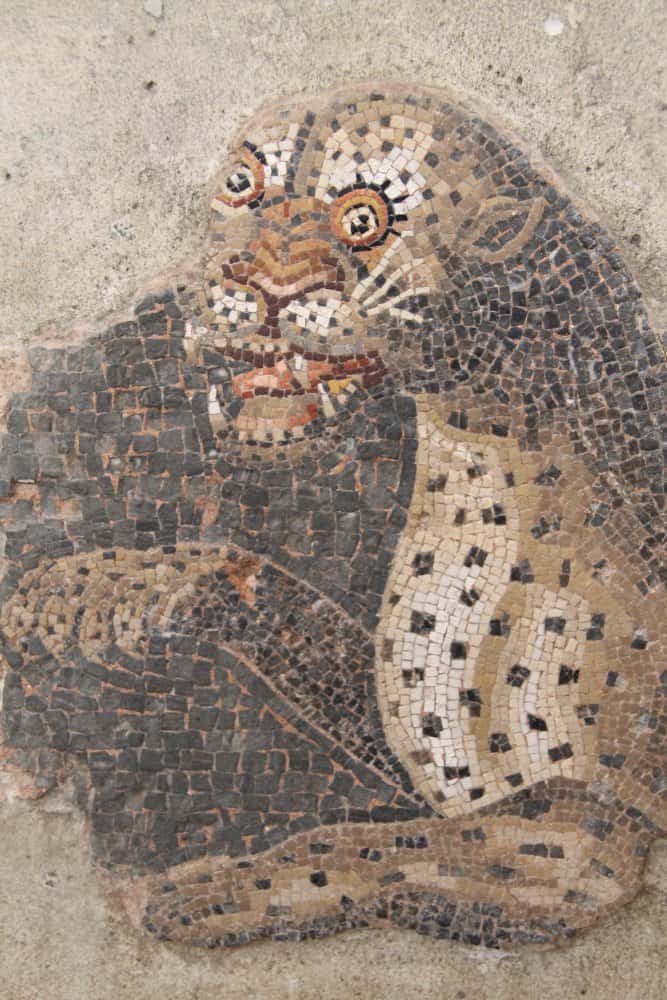 Greece, Delos – mosaic, Sept.2013