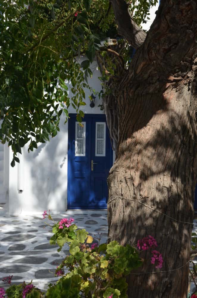 Grecia, Mykonos – porta dietro l’albero, settembre 2013 (Mykonos)