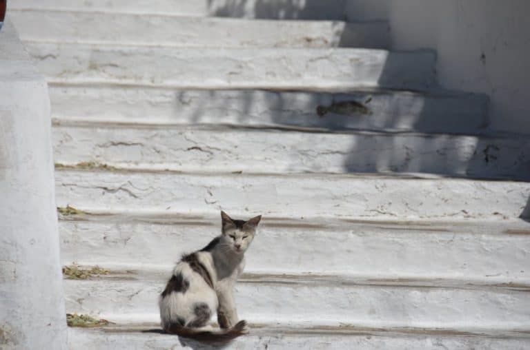  (Mykonos)