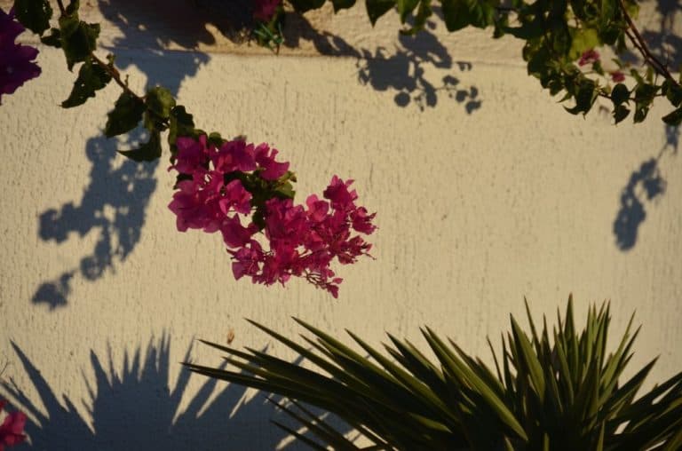 Grecia, Mykonos – luce serale, settembre 2013 (Mykonos)