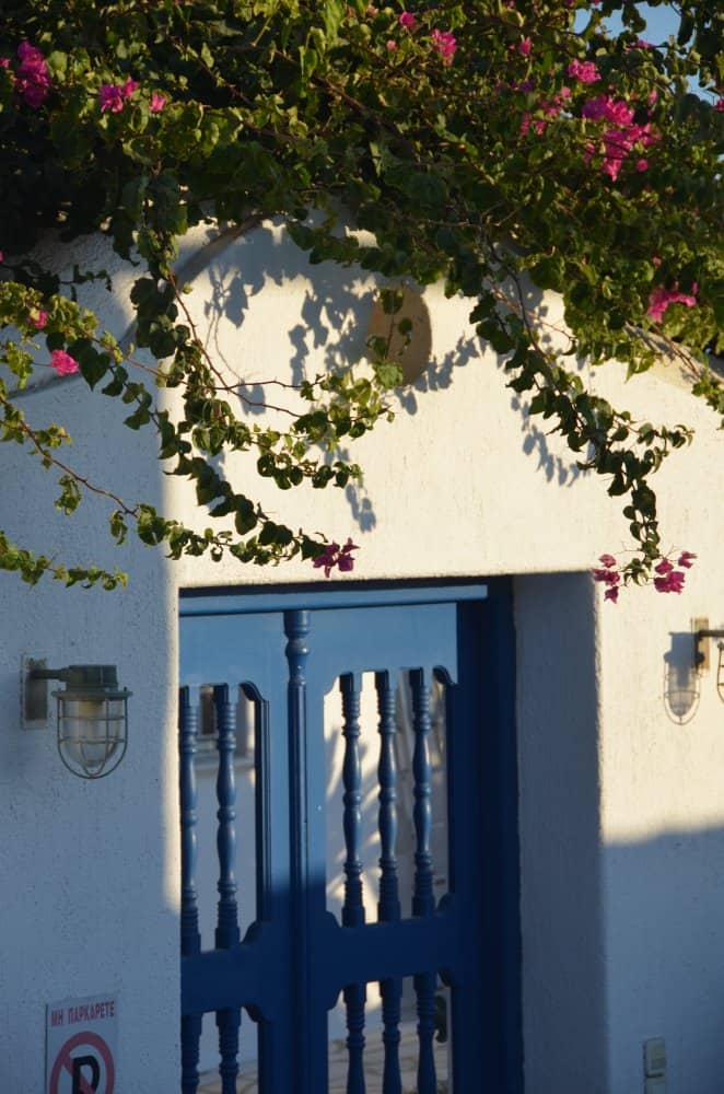 Grecia, Mykonos – porta e pianta, settembre 2013 (Mykonos)