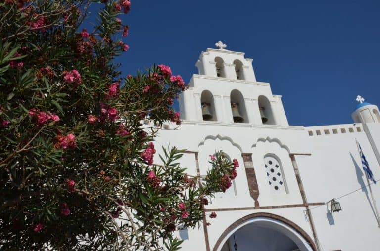 Greece, Santorini, Pyrgos – church and flower, Aug.2013 (Santorini)