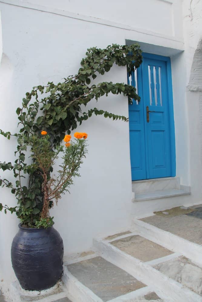 Greece, Tinos – grow, Sept.2013