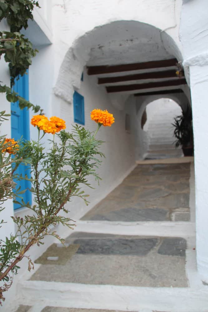 Grecia, Tinos – fiore e arco, settembre 2013