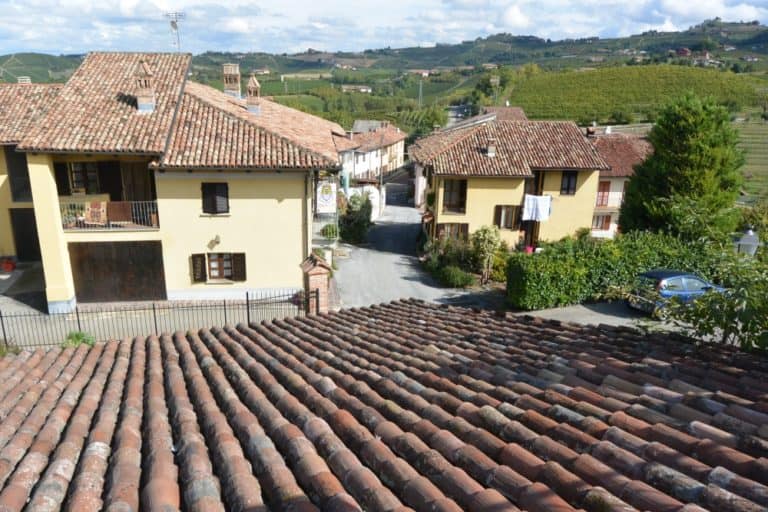 Grinzane Cavour – tetto, Ott.2015 (Piemonte)