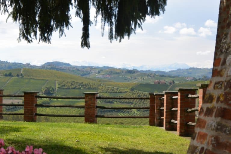 Grinzane Cavour – steccato, Ott.2015 (Piemonte)