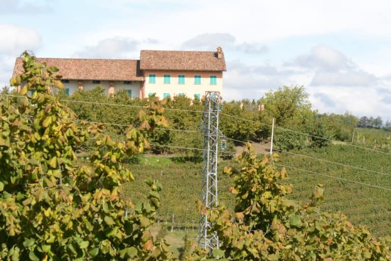 Grinzane Cavour – casa e vigna, Ott.2015 (Piemonte)