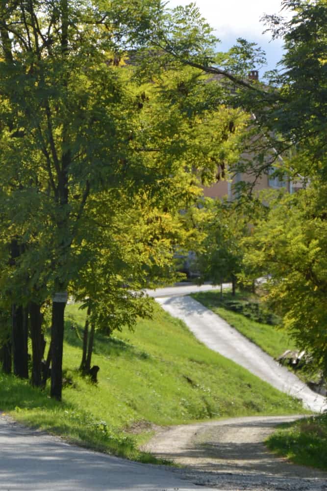 Grinzane Cavour – strada, Ott.2015 (Piemonte)