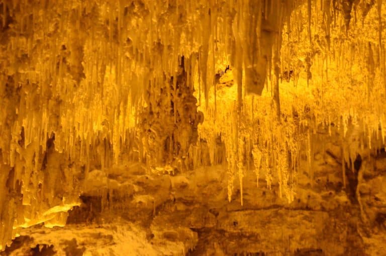 Grotta di Nettuno (12) (Sardegna)