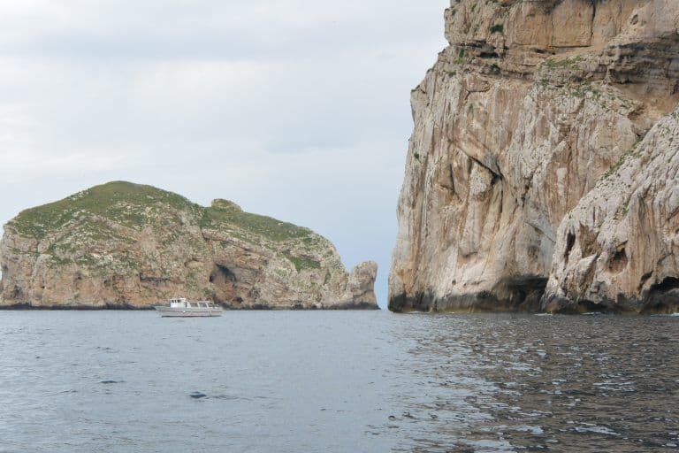 Grotta di Nettuno (17) (Sardegna)