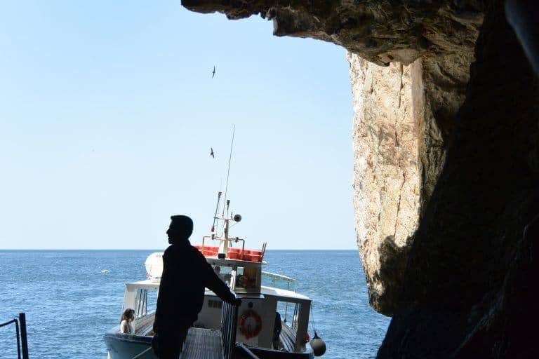 Grotta di Nettuno (20) (Sardegna)