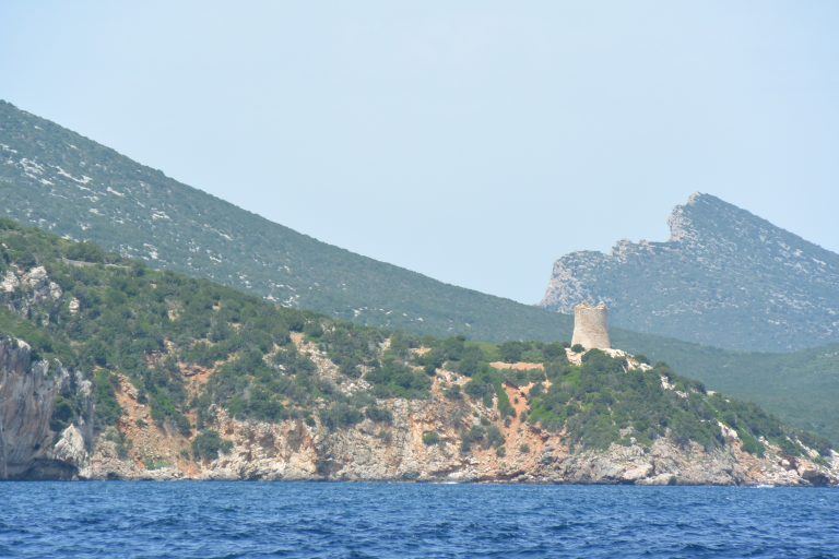 Grotta di Nettuno (25) (Sardegna)