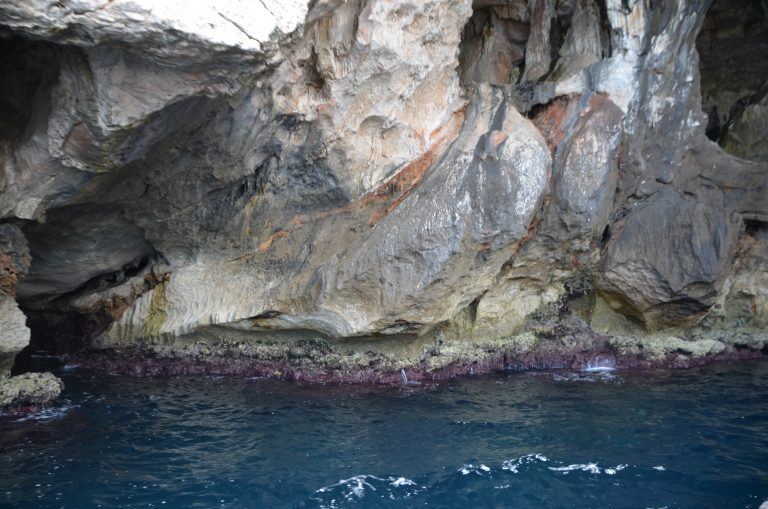 Grotta di Nettuno (3) (Sardegna)