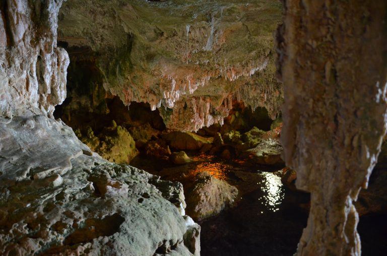 Grotta di Nettuno (4) (Sardegna)