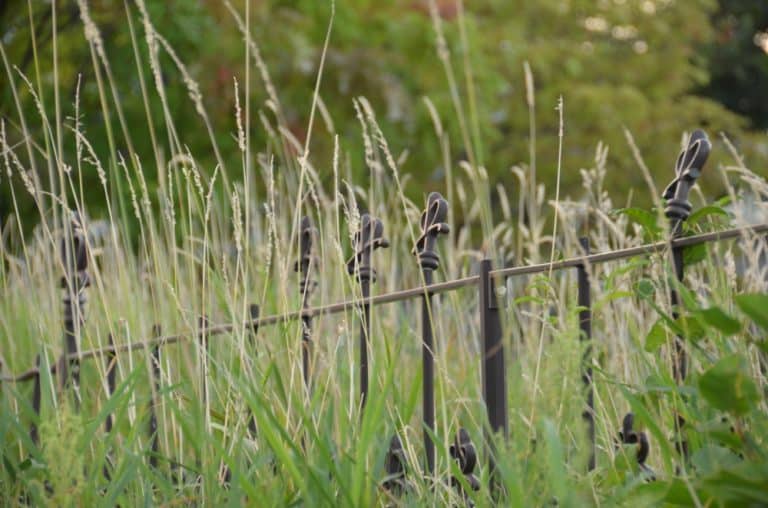 Japan, Hakodate – grass and fence, Sept.2014 (Hakodate)