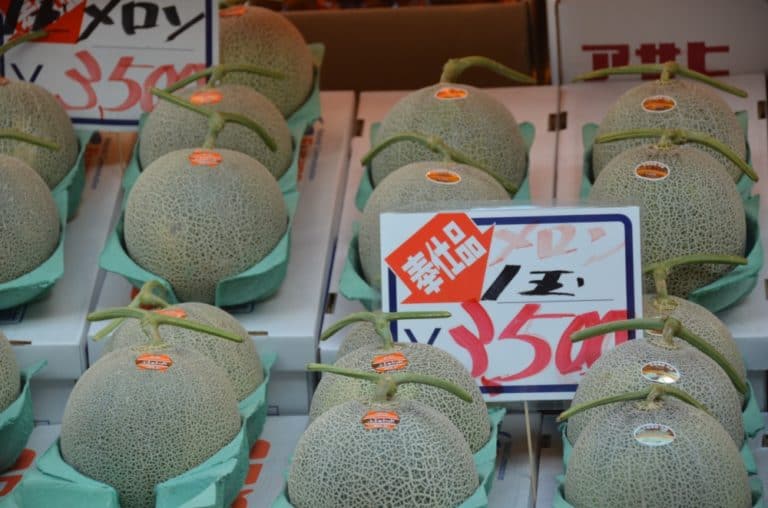 Japan, Hakodate – melons, Sept.2014 (Kakodate)