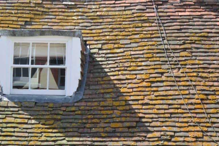 città vecchia – tetto e finestra, Giugno 2015 (Hastings)