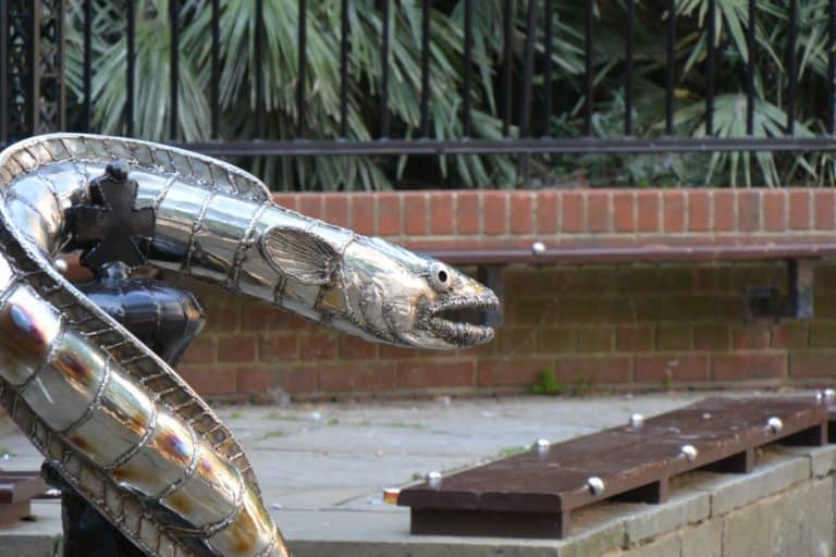 città vecchia – serpente, Giugno 2015 (Hastings)