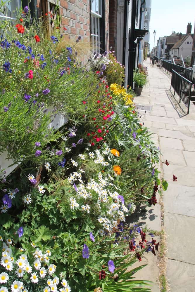 città vecchia – fiori, Giugno 2015 (Hastings)