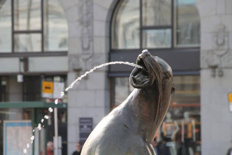 città – fontana, Agosto 2015 (Helsinki)