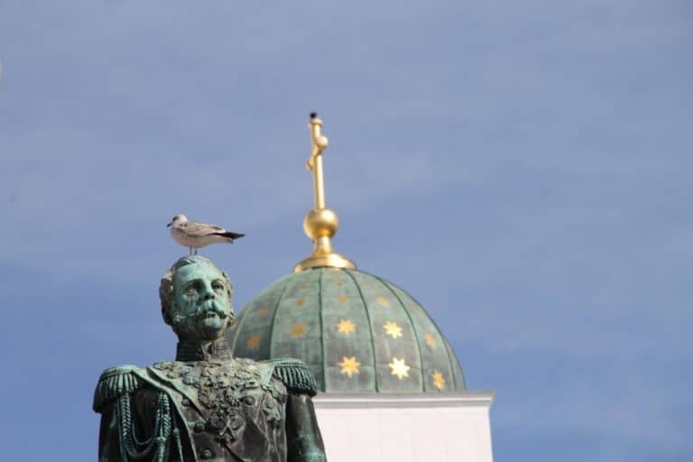 Tuomiorkirkko – statua e gabbiano, Agosto 2015 (Helsinki)