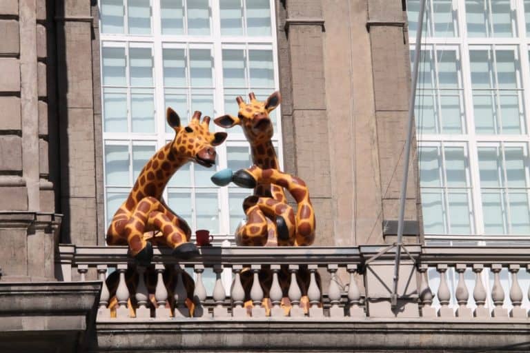 città – giraffe, Agosto 2015 (Helsinki)