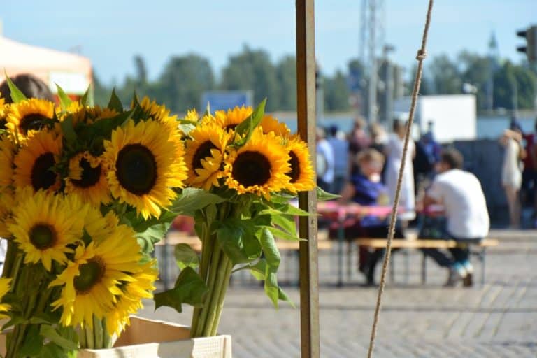 mercato – fiori, Agosto 2015 (Helsinki)