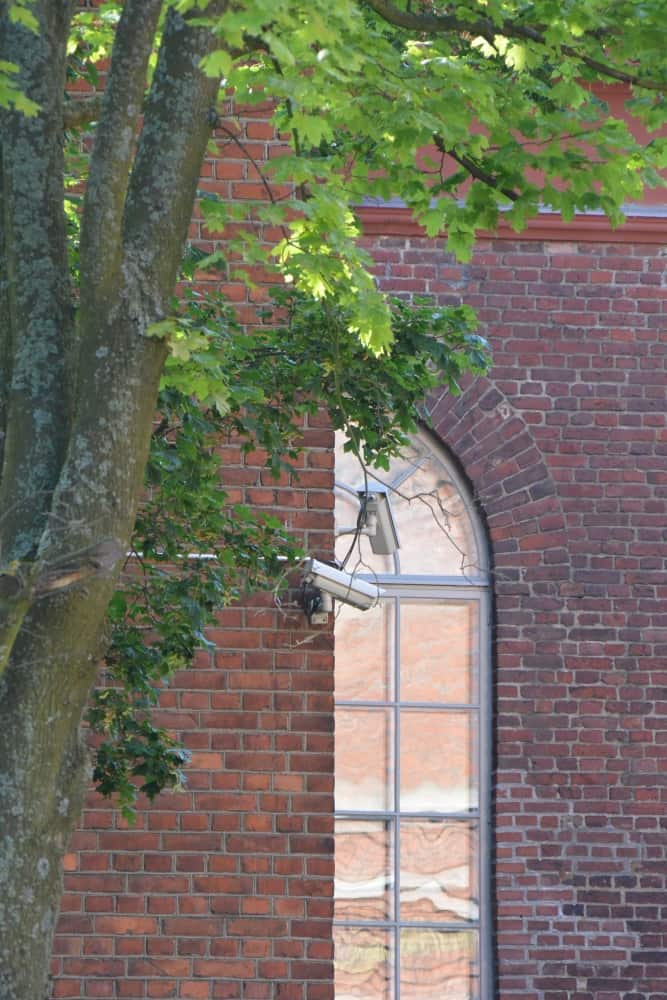 città – albero e finestra, Agosto 2015 (Helsinki)
