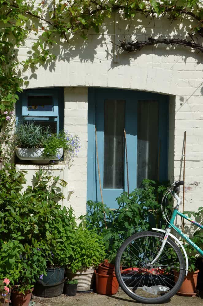 inghilterra, Henley-on-Thames – piante e porta, giugno 2013