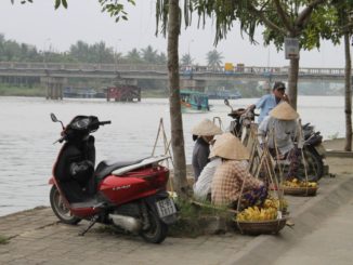 Vietnam, to My Son – in a cage, Jan.2015