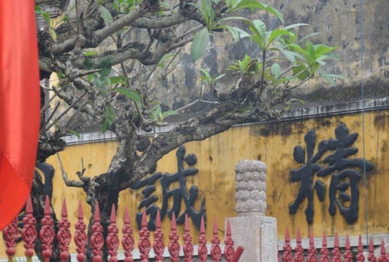 Hoi-An-(59) (Hoi An)