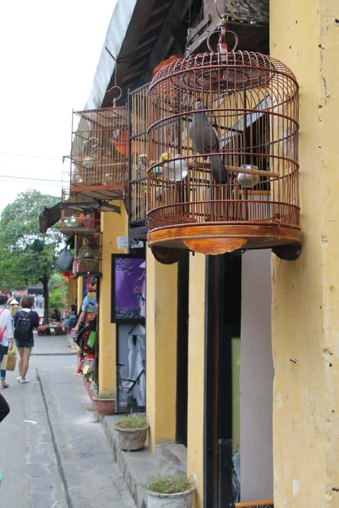 Vietnam, Hoi An – cages, Jan.2015 (Hoy An)