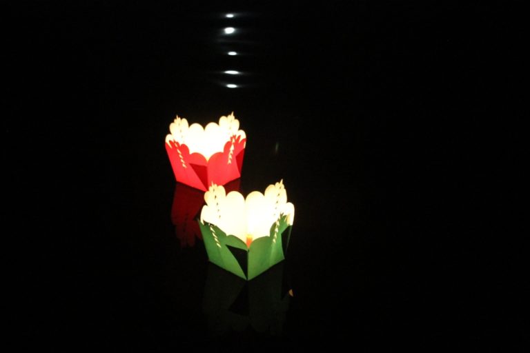 Vietnam, Hoi An night – our candles 2, Jan.2015 (Hoy An)