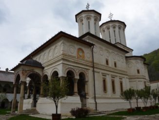 Romania, Cozia Monastery – branches, Apr. 2014
